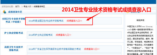 2014年衛(wèi)生專業(yè)技術(shù)資格考試成績查詢?nèi)肟? width=