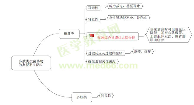 《藥學(xué)專業(yè)知識（二）》“那點(diǎn)小事兒”