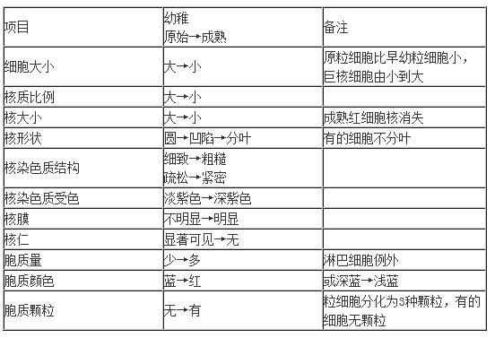 血細(xì)胞發(fā)育過程的一般規(guī)律