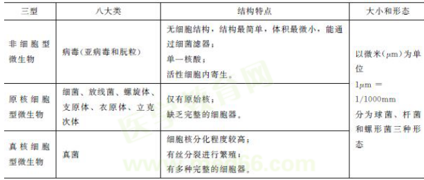 微生物的基本概念