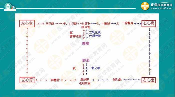 醫(yī)療衛(wèi)生考試筆試備考指導來了，共計2863頁書！怎么學？