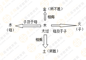 專(zhuān)業(yè)師資帶你學(xué)（五）：執(zhí)業(yè)藥師《中藥綜》五行學(xué)說(shuō)！學(xué)習(xí)要有方法！