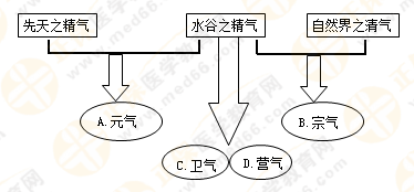 專(zhuān)業(yè)師資帶你學(xué)（八）：執(zhí)業(yè)藥師《中藥綜》生命活動(dòng)的基本物質(zhì)！善用圖解！