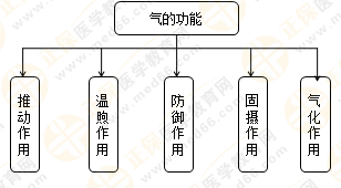 專(zhuān)業(yè)師資帶你學(xué)（八）：執(zhí)業(yè)藥師《中藥綜》生命活動(dòng)的基本物質(zhì)！善用圖解！