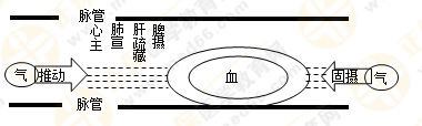 專(zhuān)業(yè)師資帶你學(xué)（八）：執(zhí)業(yè)藥師《中藥綜》生命活動(dòng)的基本物質(zhì)！善用圖解！