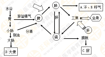 專(zhuān)業(yè)師資帶你學(xué)（八）：執(zhí)業(yè)藥師《中藥綜》生命活動(dòng)的基本物質(zhì)！善用圖解！