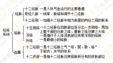 執(zhí)業(yè)藥師中藥綜經(jīng)絡(luò)與經(jīng)絡(luò)系統(tǒng)