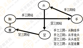 專業(yè)師資帶你學(xué)（九）：執(zhí)業(yè)藥師《中藥綜》經(jīng)絡(luò)與經(jīng)絡(luò)系統(tǒng)！5圖2表！