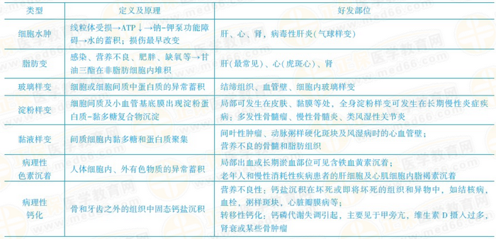 可逆性損傷的?？键c 