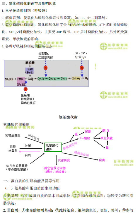 脂類代謝