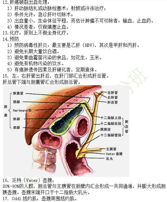 30個(gè)有關(guān)肝炎、膽囊炎相關(guān)考點(diǎn)匯總-臨床執(zhí)業(yè)醫(yī)師消化系統(tǒng)第九期！