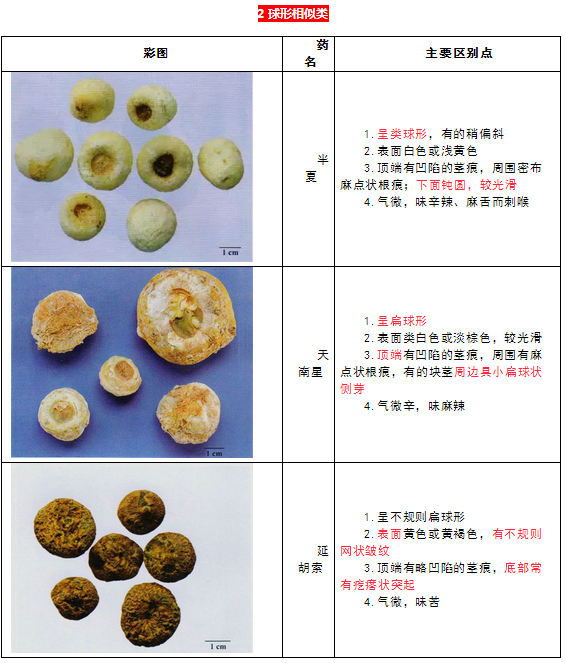 每日沖刺計劃！2019執(zhí)業(yè)藥師《中藥學(xué)專業(yè)知識二》第一篇！