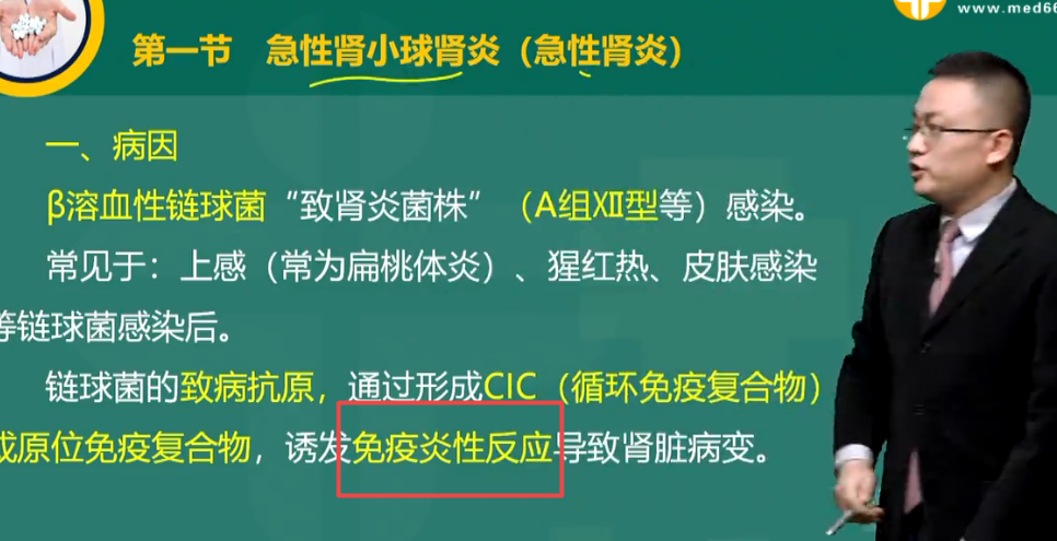 腎小球疾病最主要的發(fā)病機制是