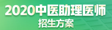 中醫(yī)助理醫(yī)師輔導(dǎo)課程