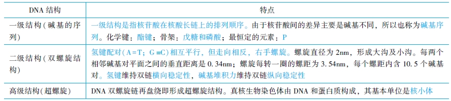 DNA各級結(jié)構(gòu)的特點(diǎn)