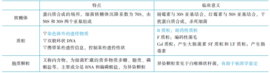 細(xì)菌細(xì)胞結(jié)構(gòu)的醫(yī)學(xué)意義