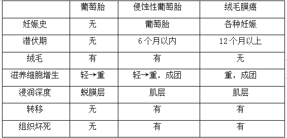 絨癌、侵蝕性葡萄胎、葡萄胎的鑒別