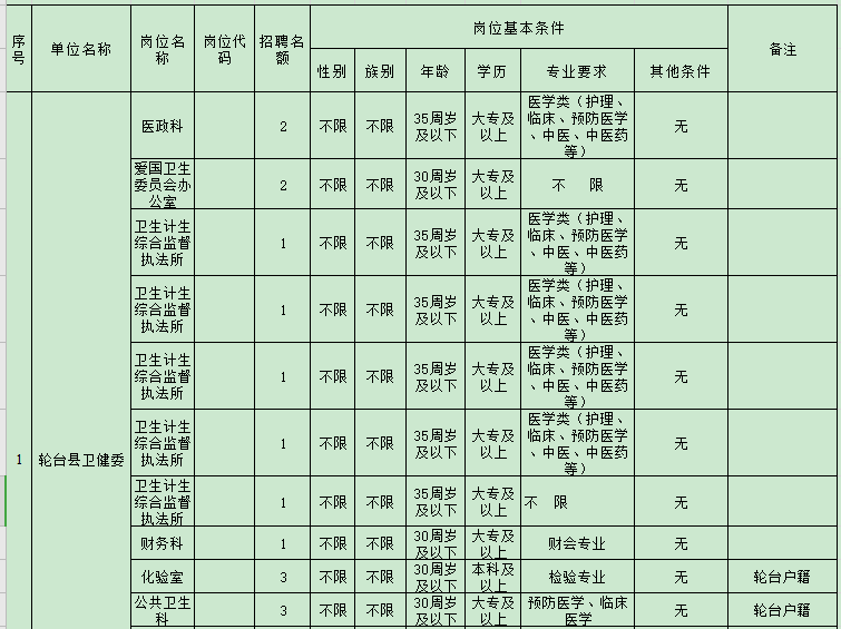 2020年新疆輪臺縣面向社會(huì)公開招聘編制外工作人員職位表（27人）1