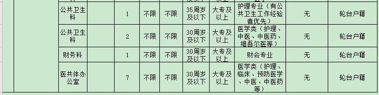 2020年新疆輪臺縣面向社會(huì)公開招聘編制外工作人員職位表（27人）2