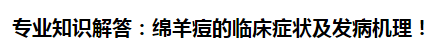 專業(yè)知識解答：綿羊痘的臨床癥狀及發(fā)病機理！