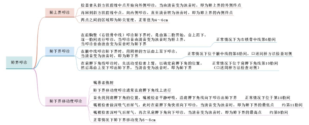 體格檢查——肺界叩診、肺下界移動(dòng)度叩診