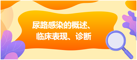 尿路感染的概述、臨床表現(xiàn)、診斷