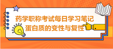 2024藥學(xué)職稱考試每日學(xué)習(xí)筆記：蛋白質(zhì)的變性與復(fù)性