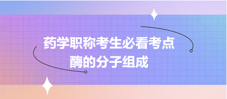 酶的分子組成-2024藥學(xué)職稱考生必看考點(diǎn)