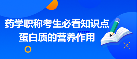 2024藥學(xué)職稱考生必看知識(shí)點(diǎn)：蛋白質(zhì)的營(yíng)養(yǎng)作用