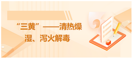 “三黃”——清熱燥濕、瀉火解毒