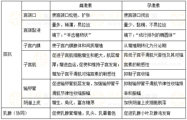 雌孕激素對附性器官的作用